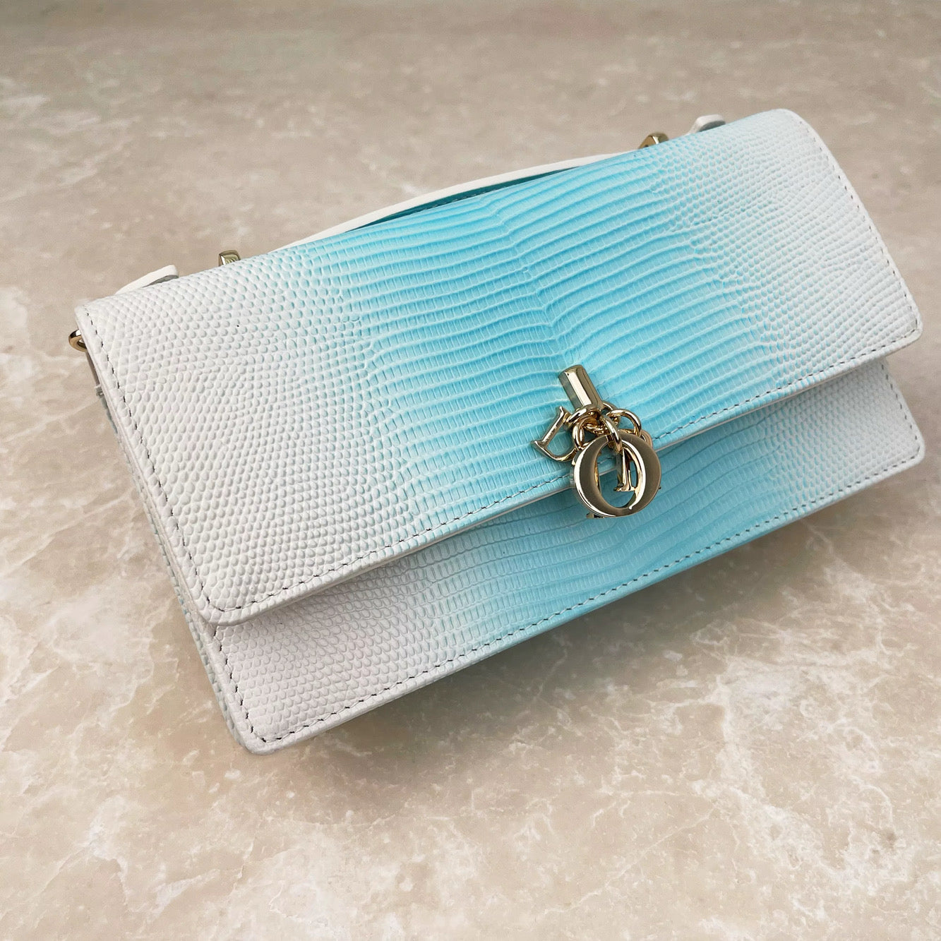 The Double Take Bag