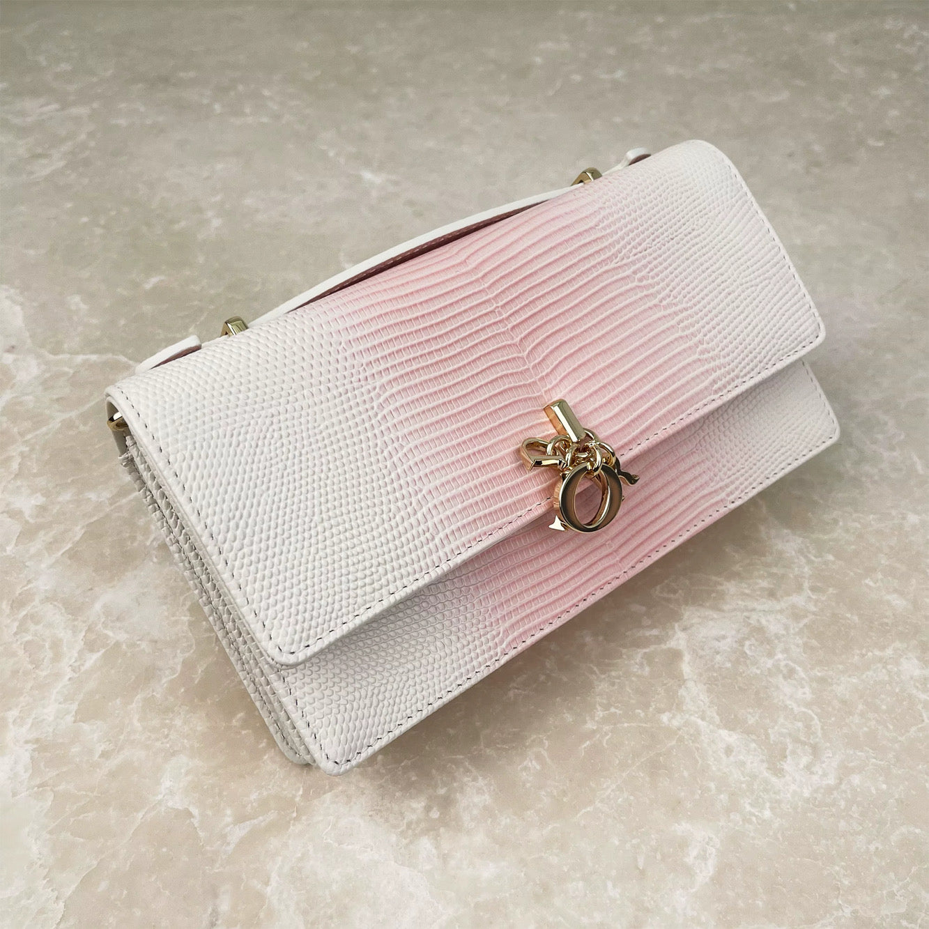 The Double Take Bag