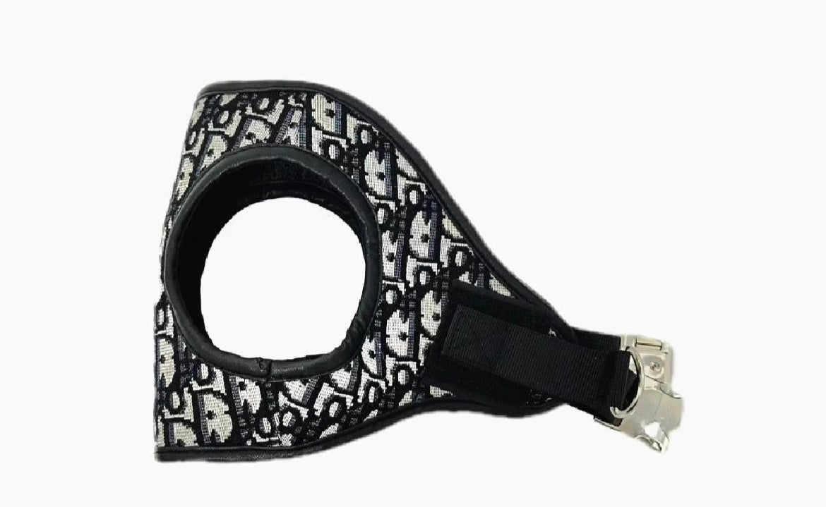 Paris Monogram leash + Pouch + Harness