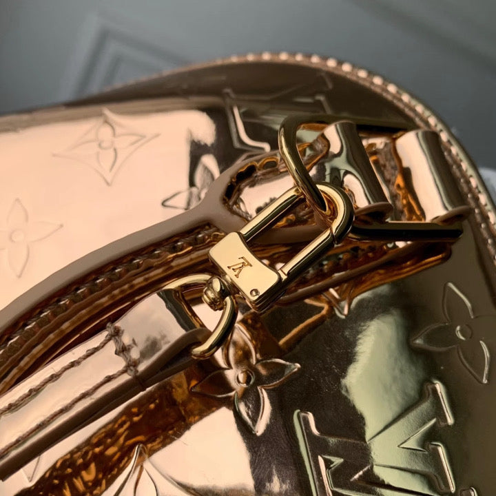 Aluminum Style Handbag